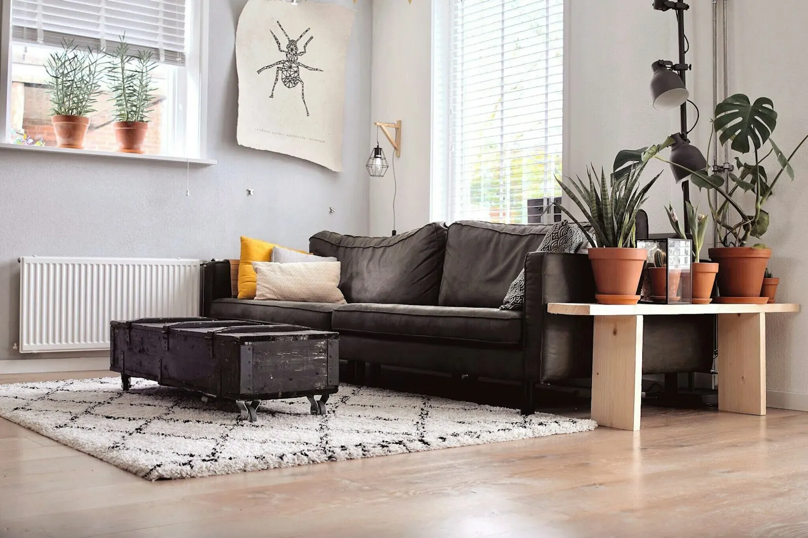 Lounge with a leather sofa, plants and a patterned rug