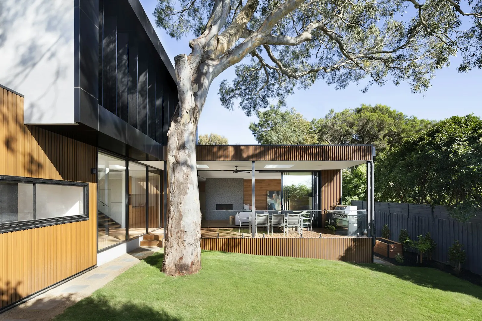 Rear addition with timber cladding beside a mature tree and lawn